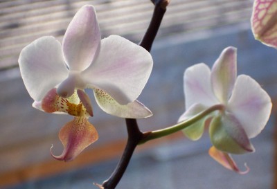 100_8072.jpg