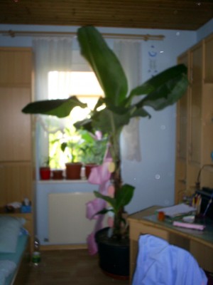 S4025345.JPG
