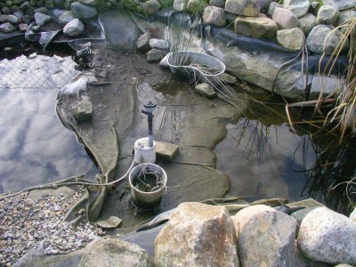 teich heute 003.JPG
