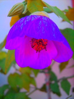 PICT09690.JPG