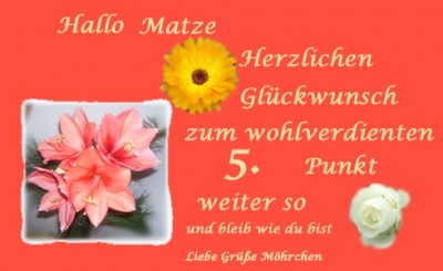 matz.jpg