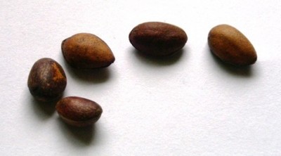 PICT0200.JPG