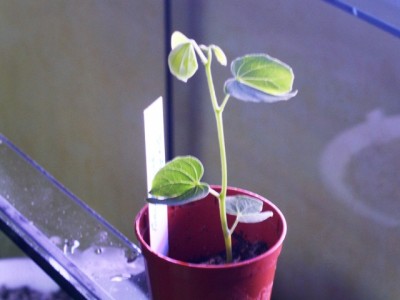 PICT0212.JPG