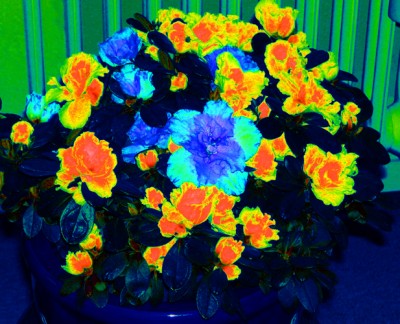 100_0526.jpg