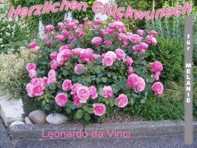 leonardo MEL Kopie.jpg