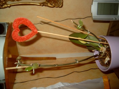 J4100085.JPG