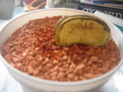 Mango 006.jpg
