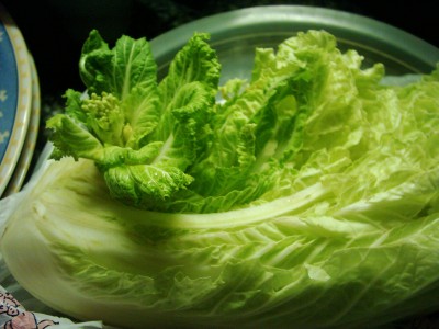 Makro (2).JPG