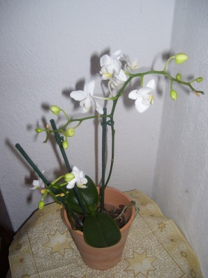 Galerie 0071.jpg