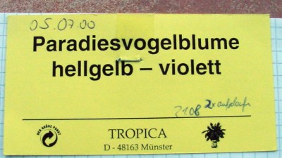 Tropica Samen.jpg