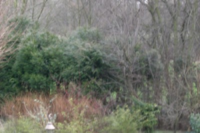 garten8.JPG