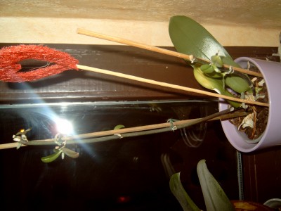 J4100083.JPG