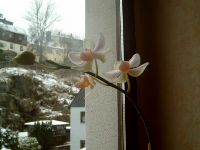 J4100001.JPG
