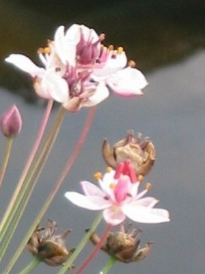 foto2.jpg