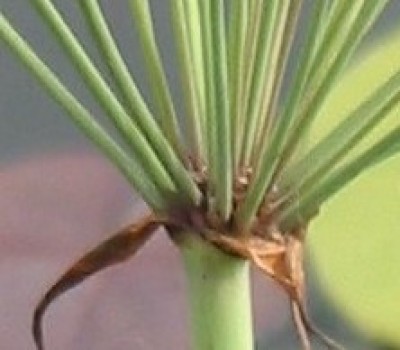 foto1.jpg