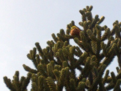 01092007063.jpg