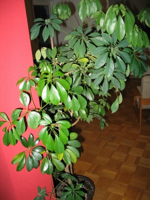 184_8403.jpg