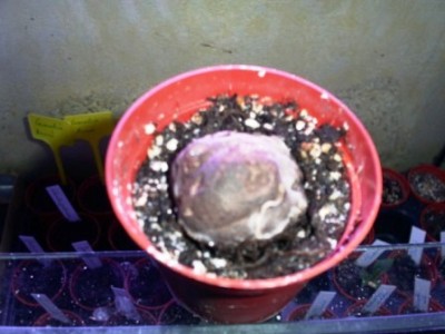 PICT0285.JPG