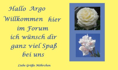 Ohne Titel-2 Kopie.jpg d.jpg