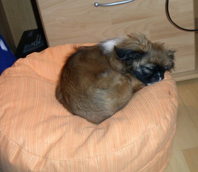 Kopie von PICT0017.JPG