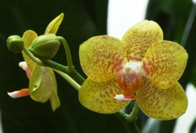 DSCF1286.JPG