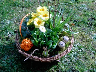 PICT3063.JPG