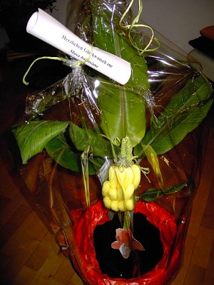 PICT0177.JPG