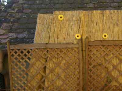 Fasching 071.JPG