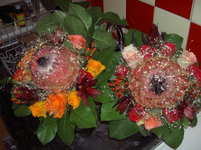 weihnachtsprotea.jpg