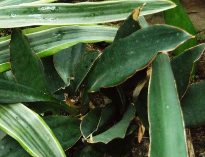 DSCF1394.JPG