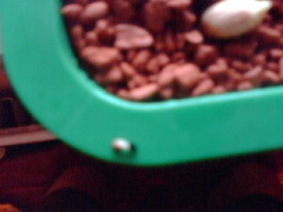 cHilLEr020.jpg