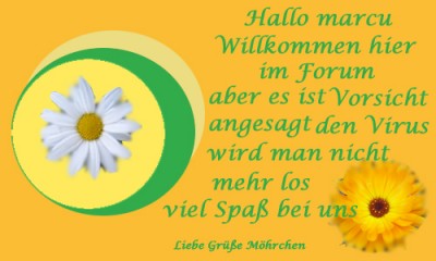 Ohne Titel-1 Kopie.jpg t.jpg