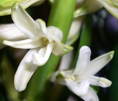 CIMG2227 - Kopie.JPG