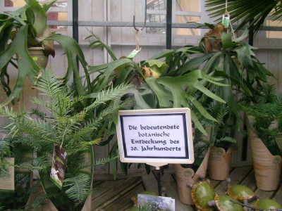 Dinoschau 010.JPG