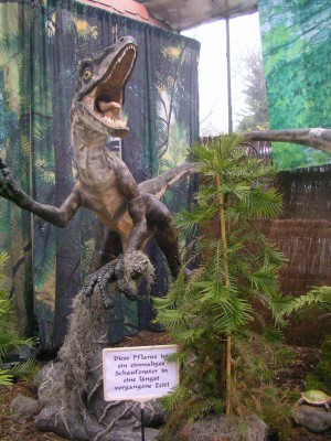 Dinoschau 007.JPG