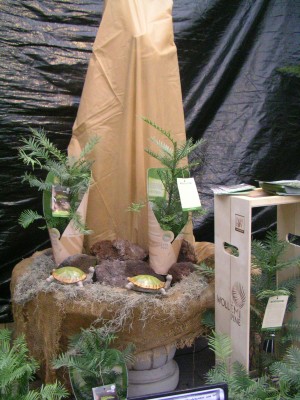 Dinoschau 004.JPG