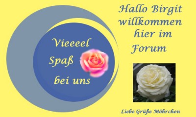 Ohne Titel-3 Kopie.jpg cx.jpg v.jpg