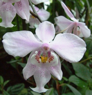DSCF1299.JPG