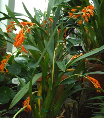 DSCF1277.JPG