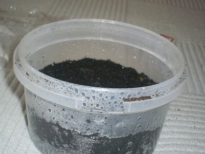 PIC_0606.JPG