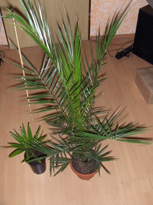 Bild 133.jpg