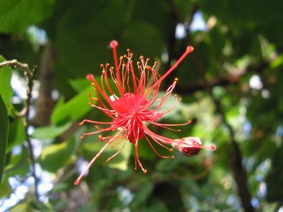 P1010475.jpg