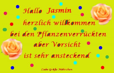 Ohne Titel-1 Kopie.jpg tt.jpg eew.jpg