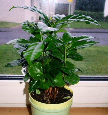 PICT0069.JPG