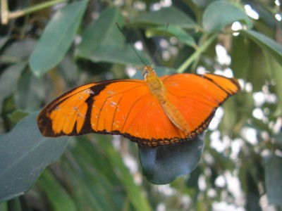 P1010544.jpg