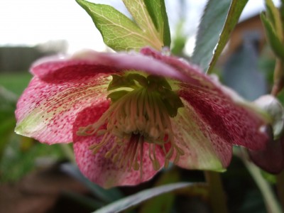 DSCF2104.jpg