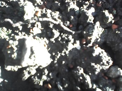 21-01-07_1038.jpg