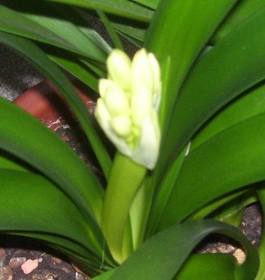 Galerie 1959 erw.jpg