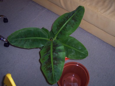 100_1018.JPG