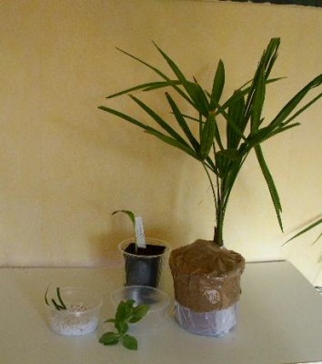 PICT0032.JPG
